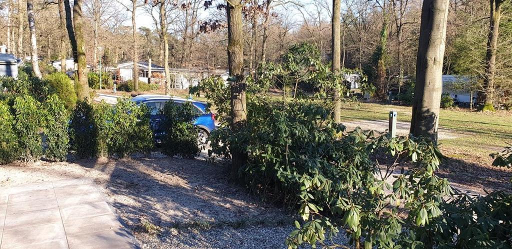 Chalet Op Vakantiepark Bonte Vlucht دورن المظهر الخارجي الصورة